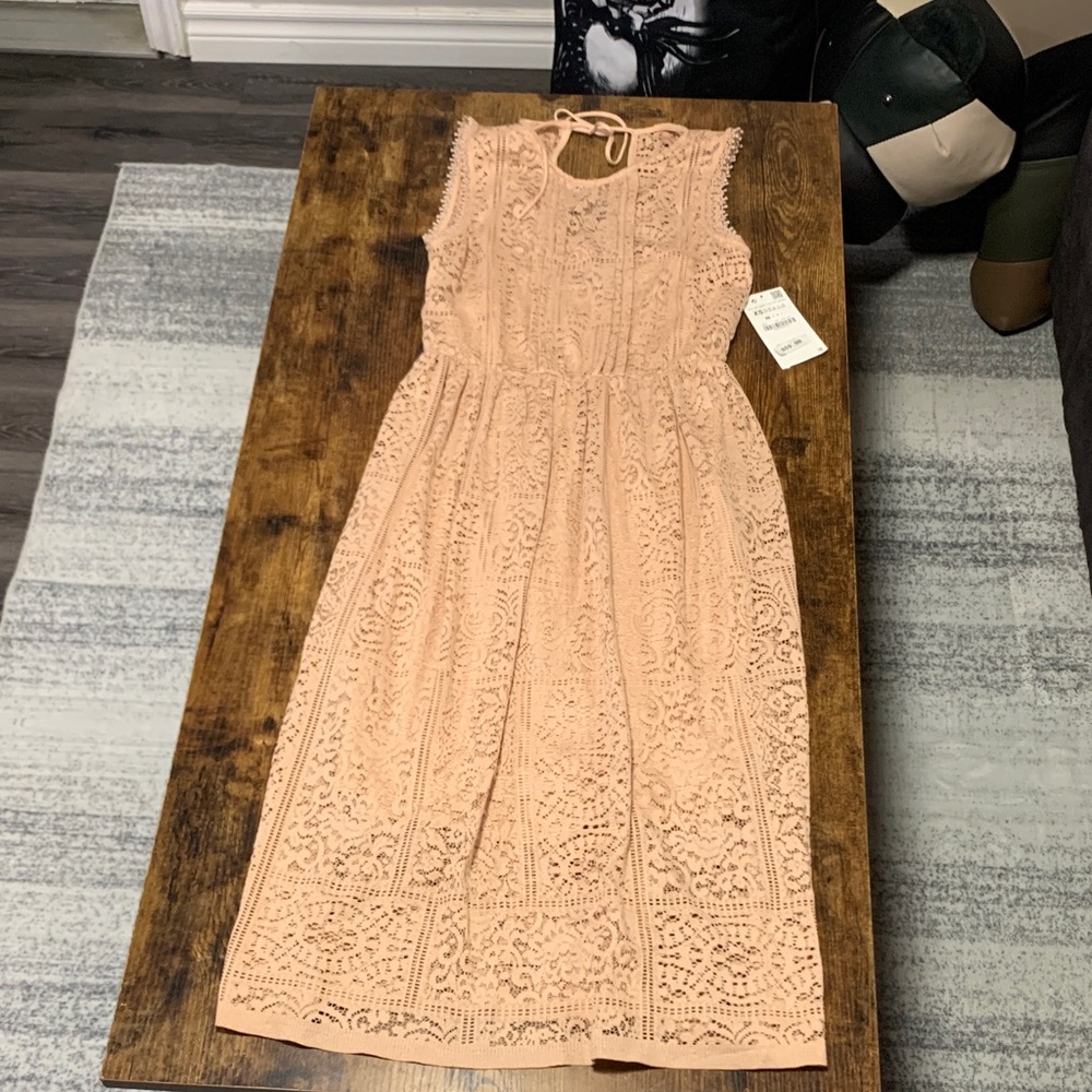 Zara Blush Pink Lace Midi Dress